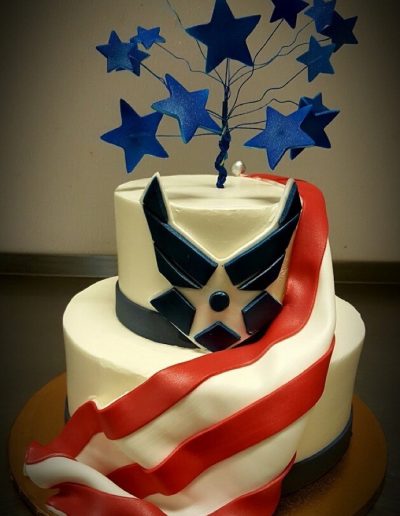 Christine's Cakes & Pastries - AirForce Cake