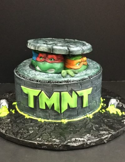 Christine's Cakes & Pastries - TMNT in sewer