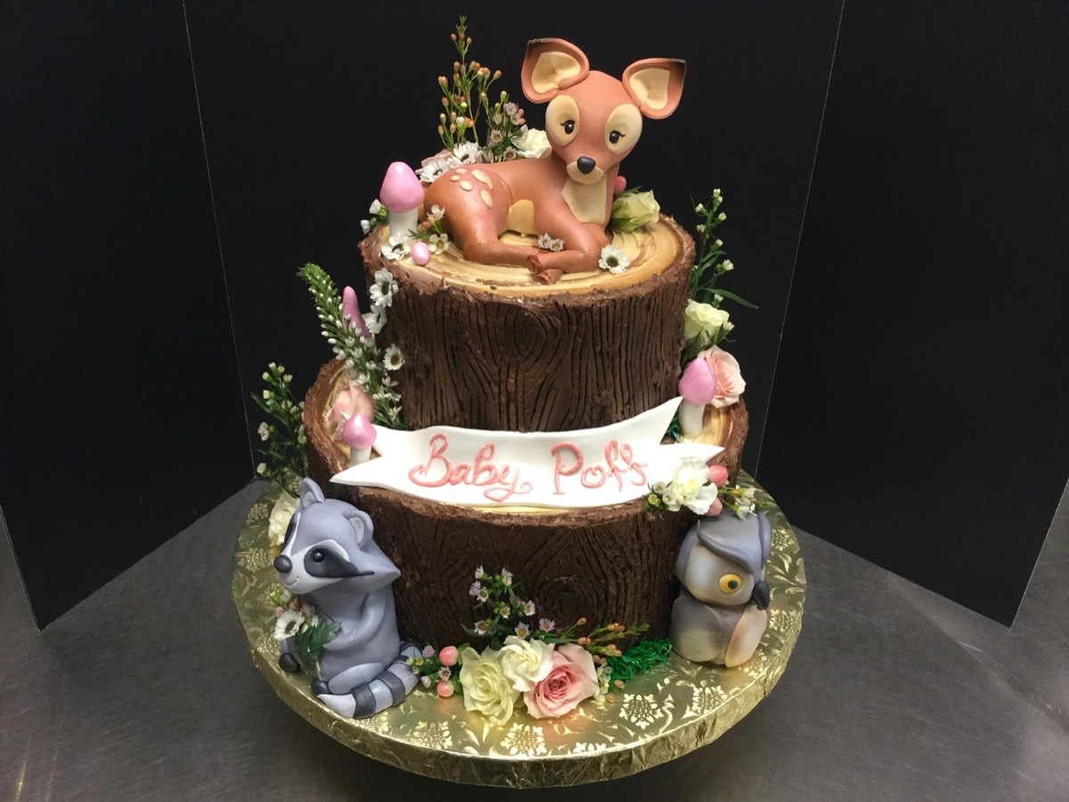 Christine's Cakes & Pastries - Wilderness Theme (Baby)