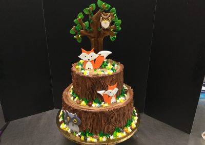 Christine's Cakes & Pastries - Wilderness Theme (Baby)#2